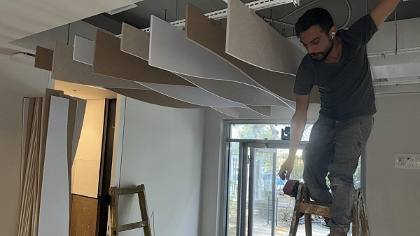 פיקוח וניהול על ידי חברה מקצועית
